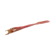 FursBee® (Bladder) Stick 12"