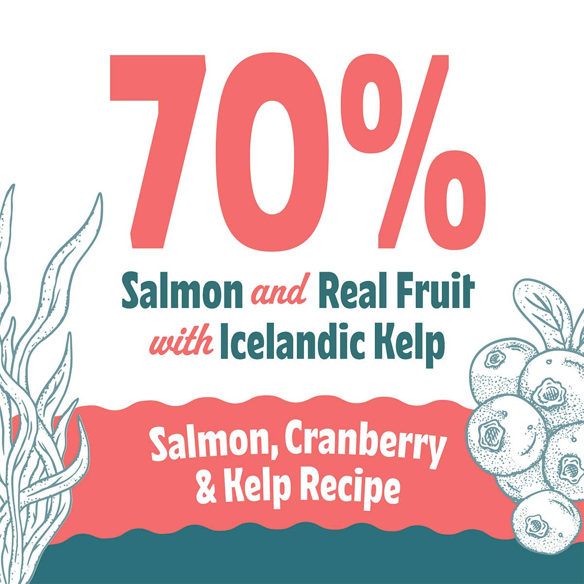 Salmon, Cranberry & Kelp Recipe Soft & Chewy Bites for Dogs