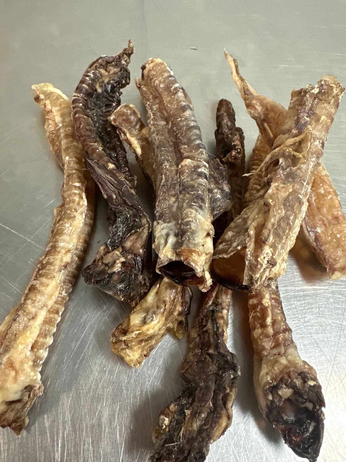 Lamb Trachea  