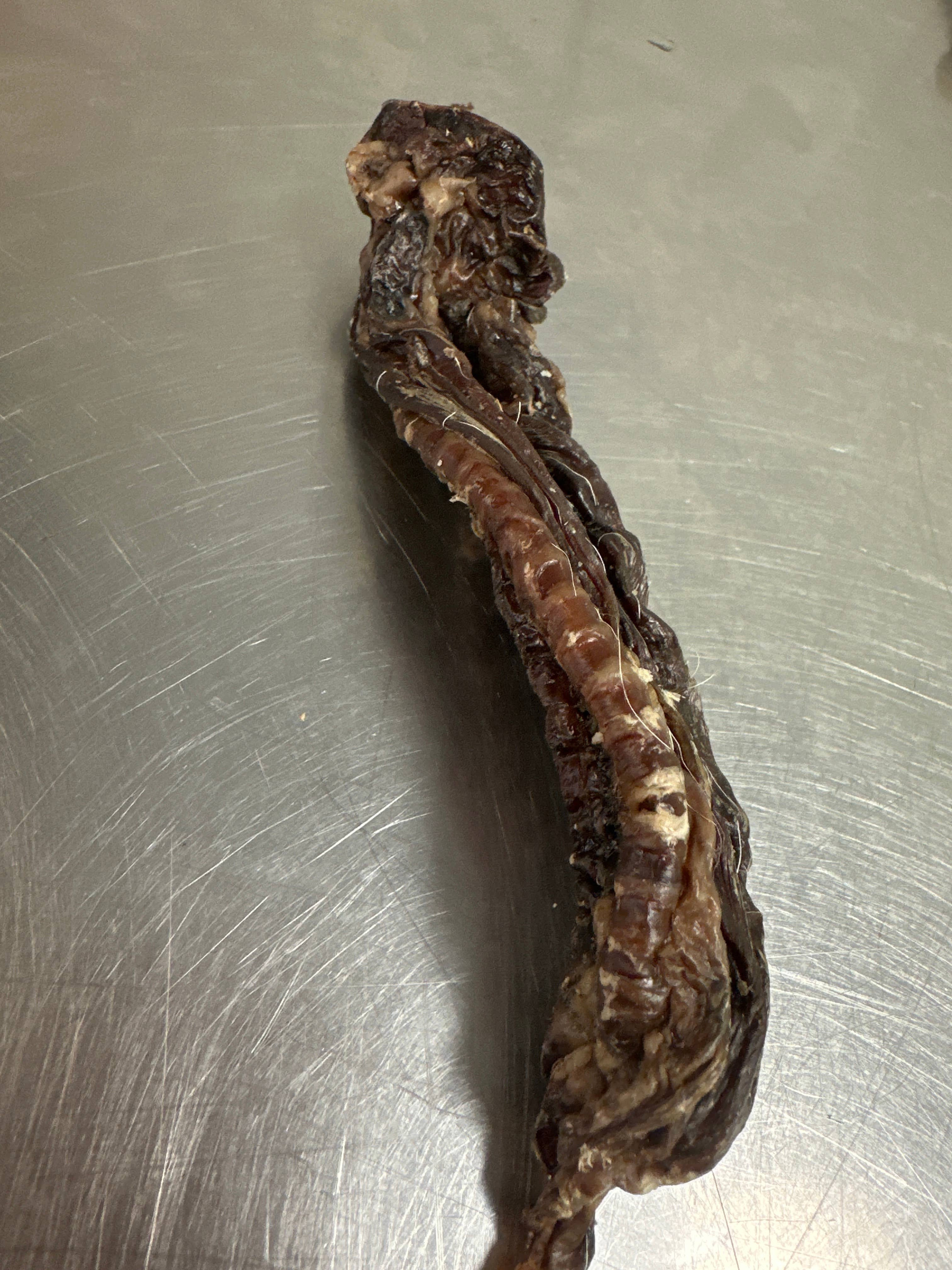 Lamb Trachea  