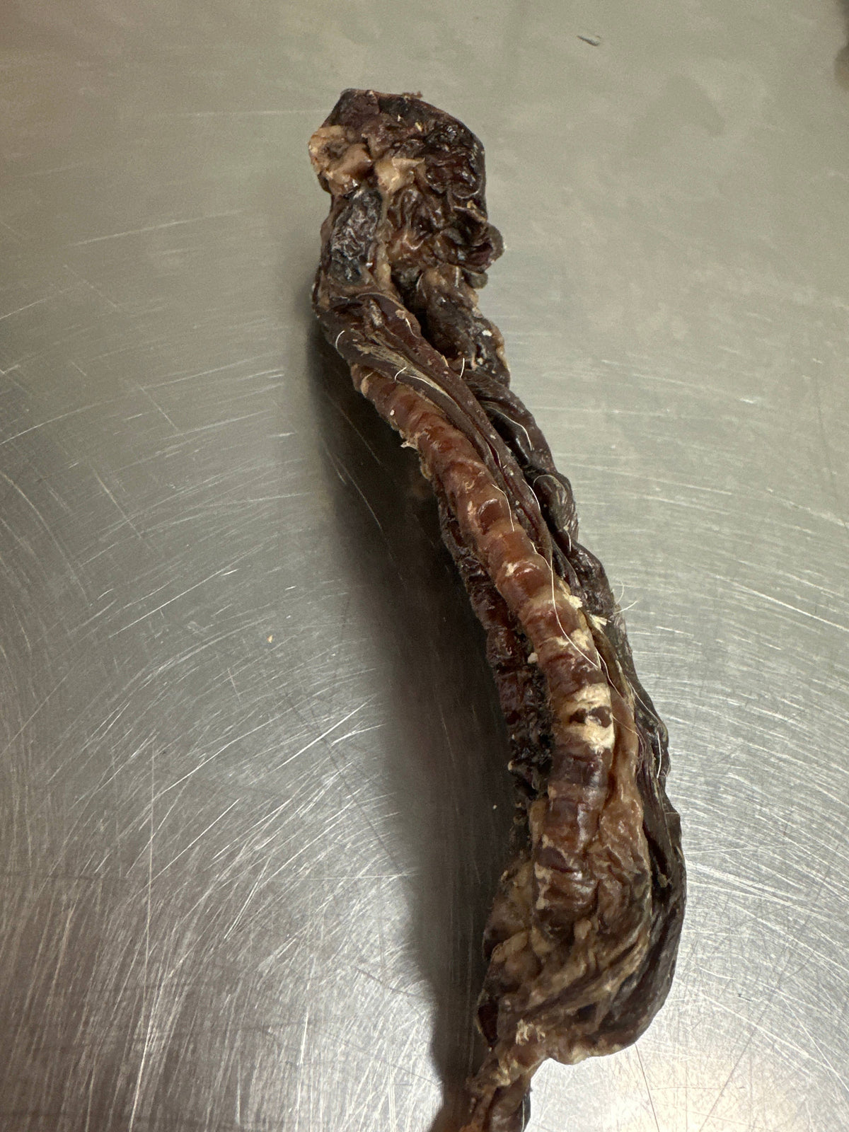Lamb Trachea  