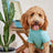 GF Pet Love Graphic Tee Aqua - Medium