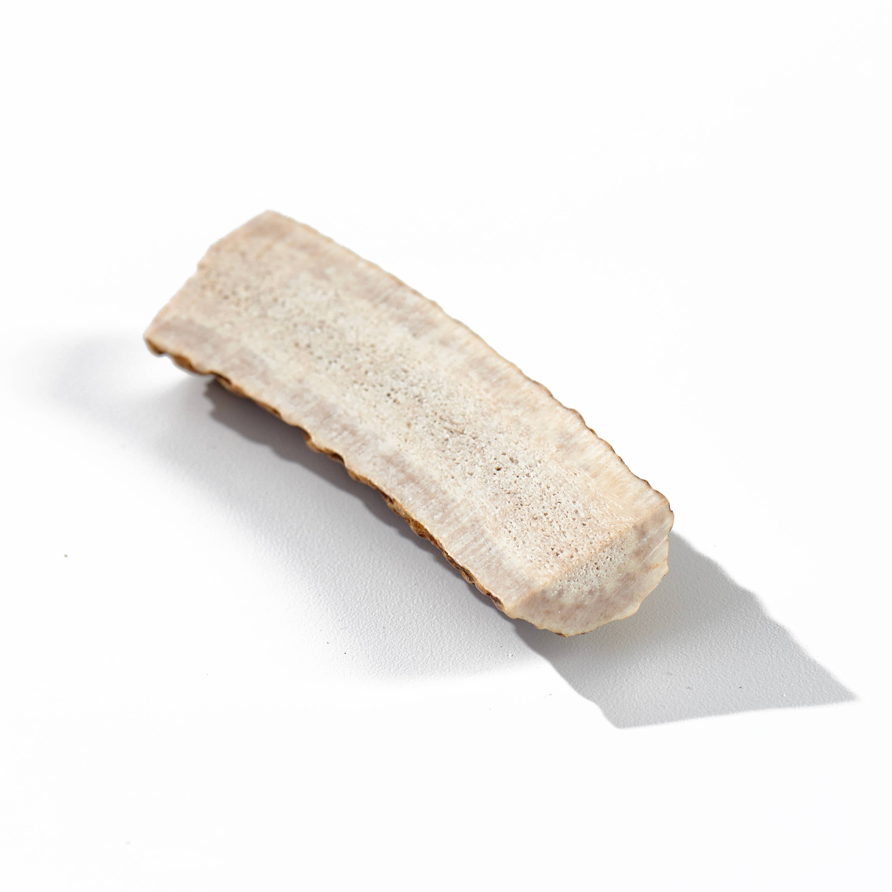 Elk Antler Small Split Dog Chew