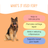 Hips Don't Lie - Hip & Joint Supplement for Dogs - 120 Chew