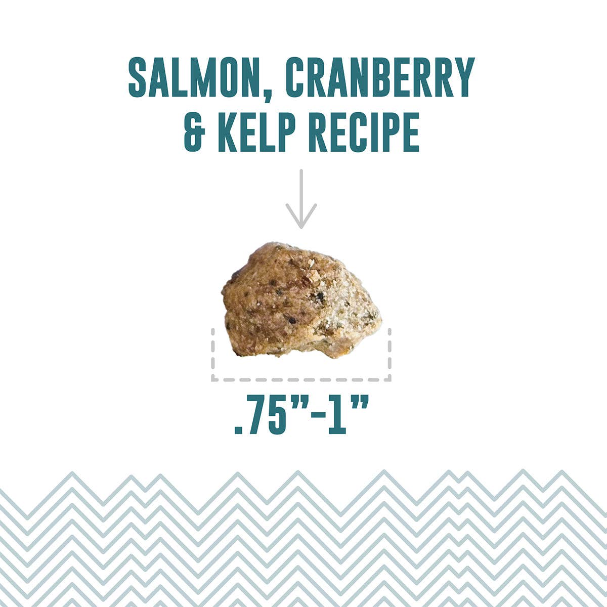 Salmon, Cranberry & Kelp Recipe Soft & Chewy Bites for Dogs