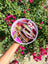 Loco Coco Interactive Slow Feeder Bowl