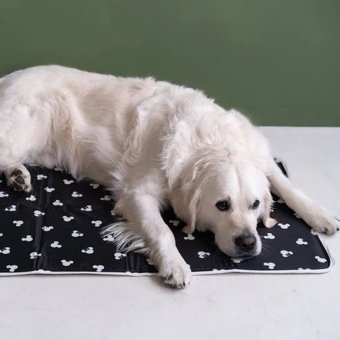 Disney Mickey & Minnie Cool Pet Pad - Medium