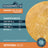 Beef Collagen UFO Dog Chew - Flying Disc Edible Treat