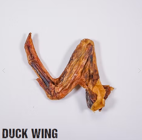 Dehydrated Duck Wing