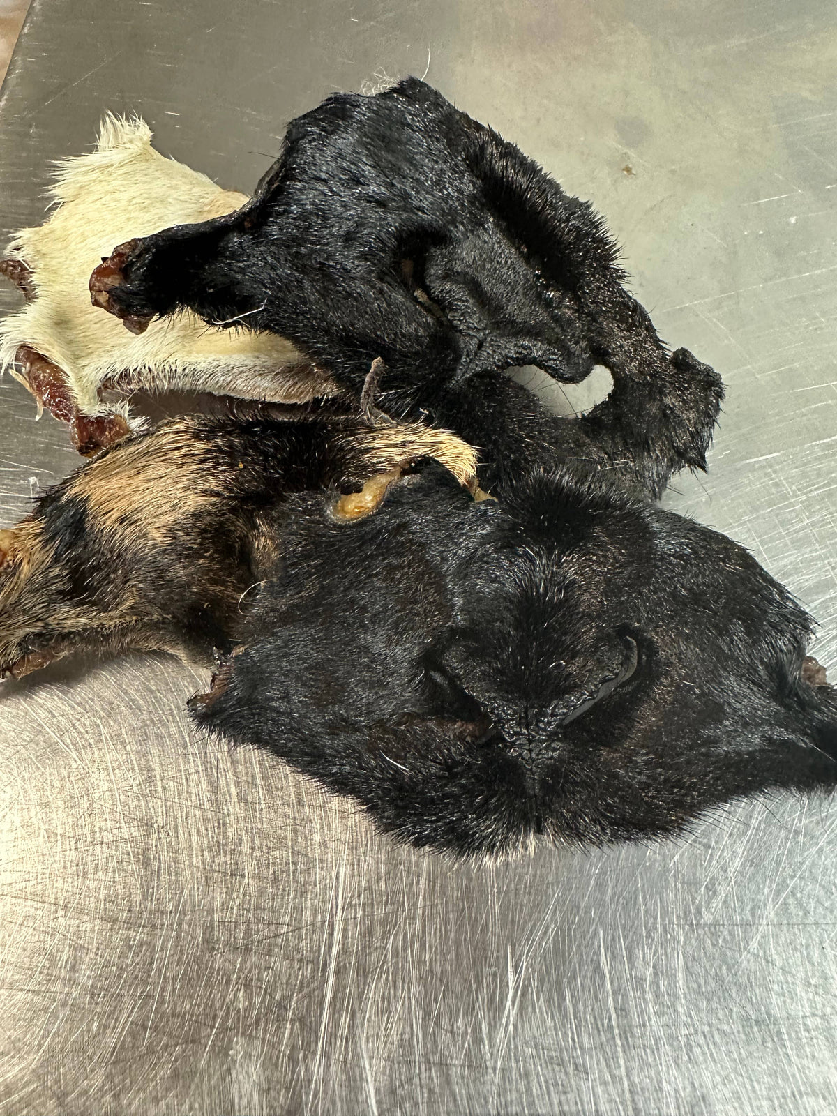 Goat Snouts
