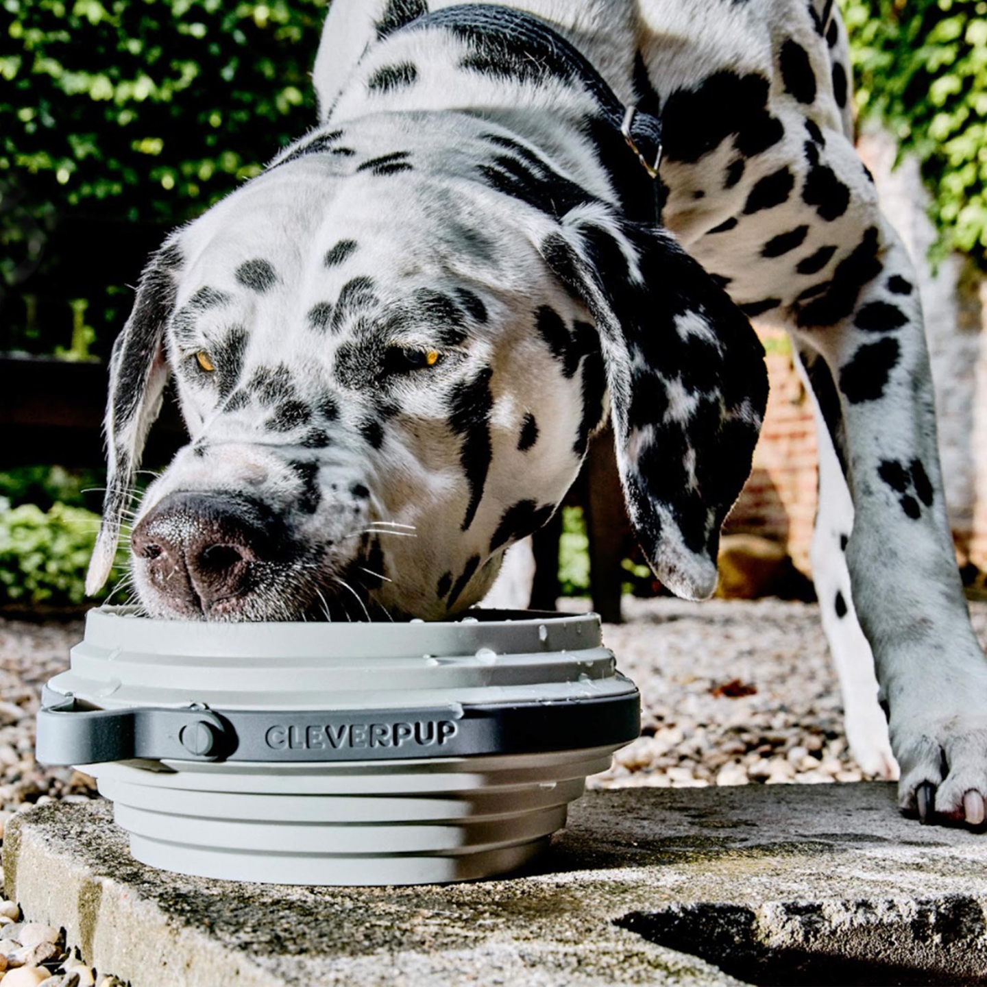 Nomad Collapsible Dog Bowl- Large
