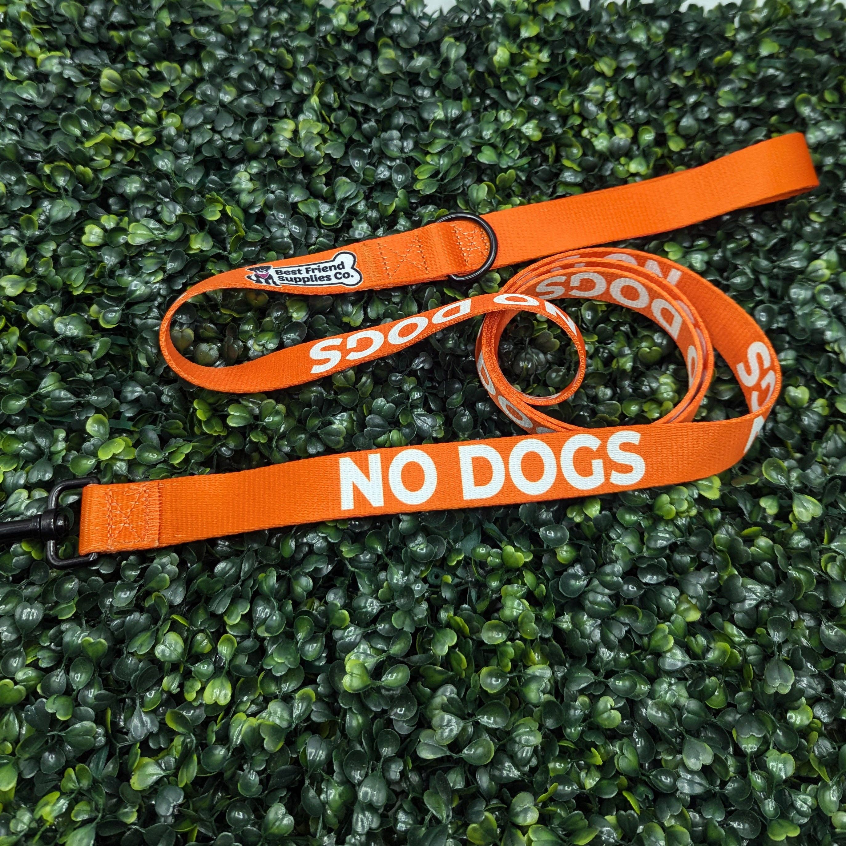 No Dogs Leash