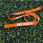 No Dogs Leash