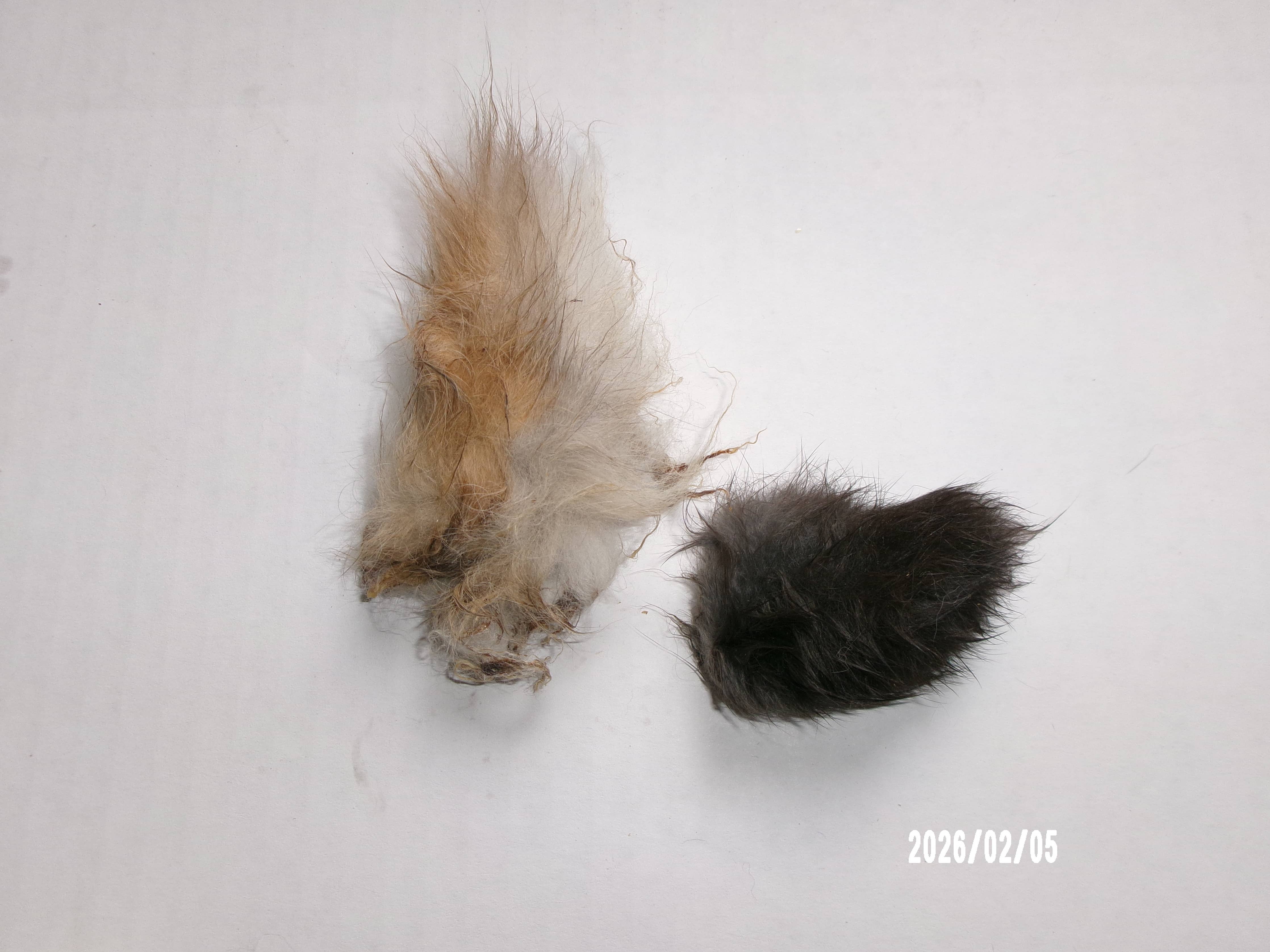 Rabbit Tails Dehydrated