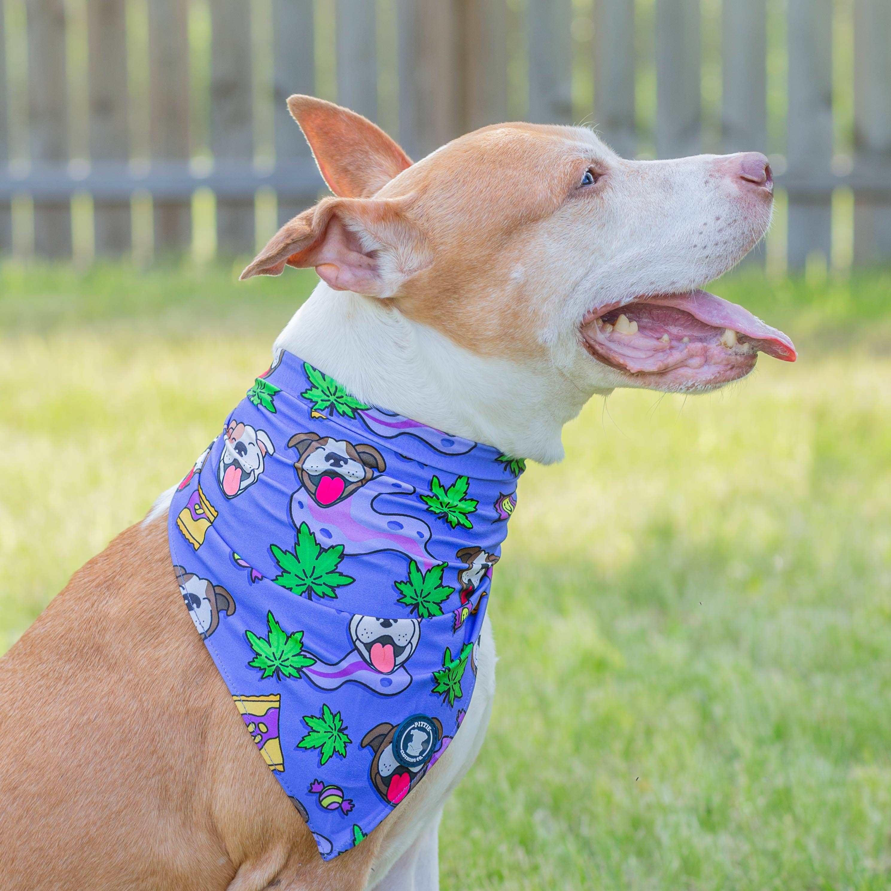 Ruff Ruff Pass Bandana