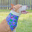 Ruff Ruff Pass Bandana