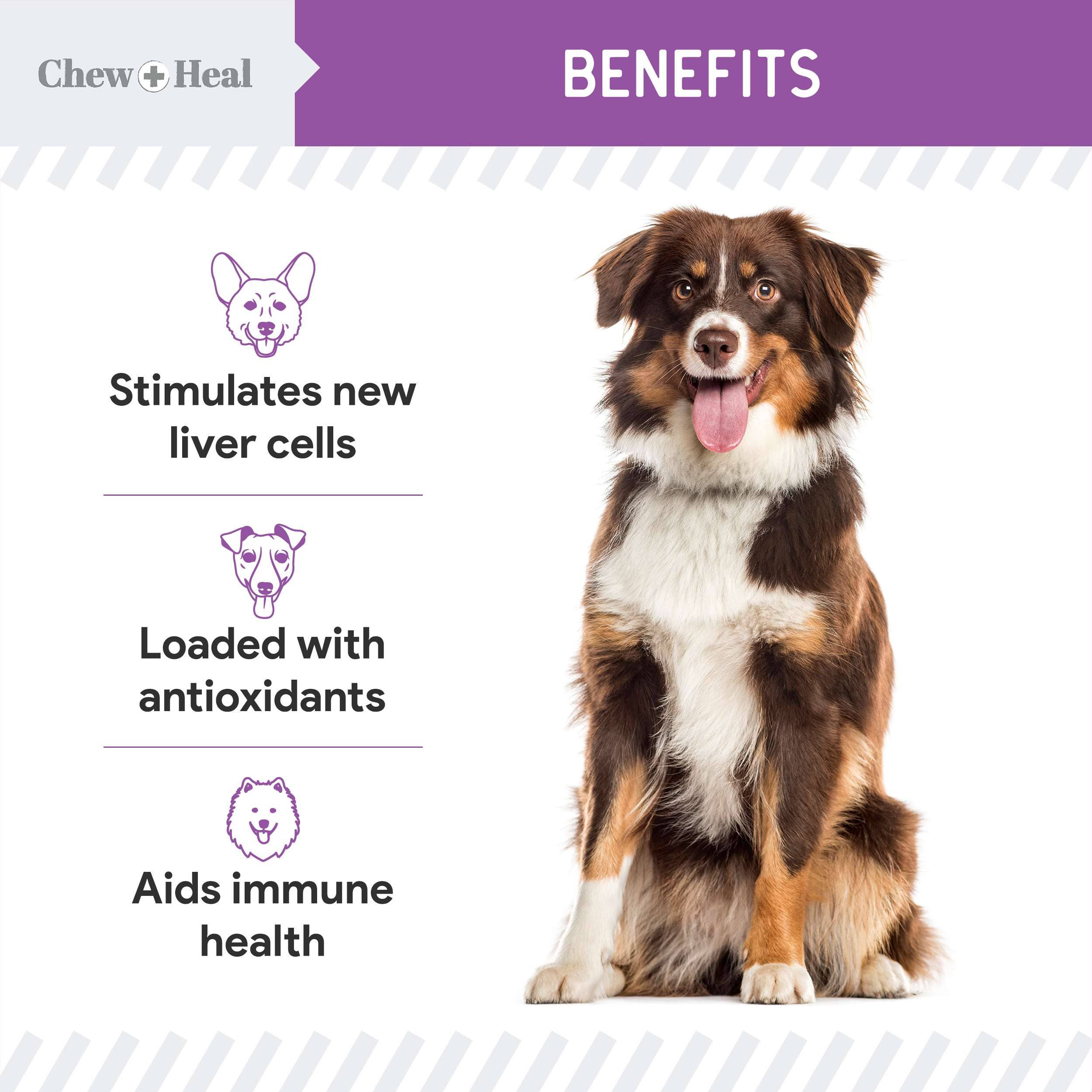 Milk Thistle Tincture with Moringa & Salmon Oil for Dogs