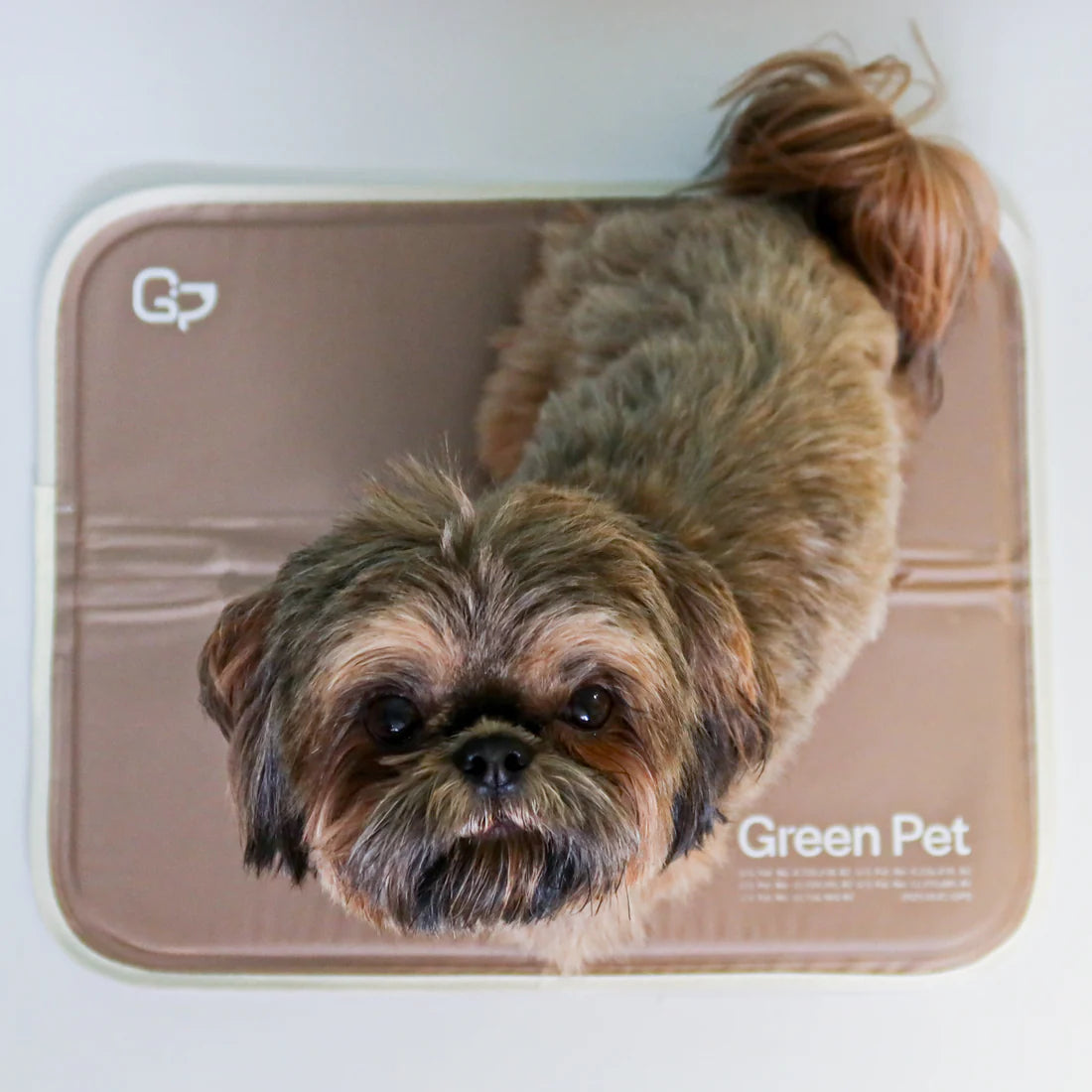 Cool Pet Pad - Latte Large