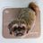 Cool Pet Pad - Latte Large