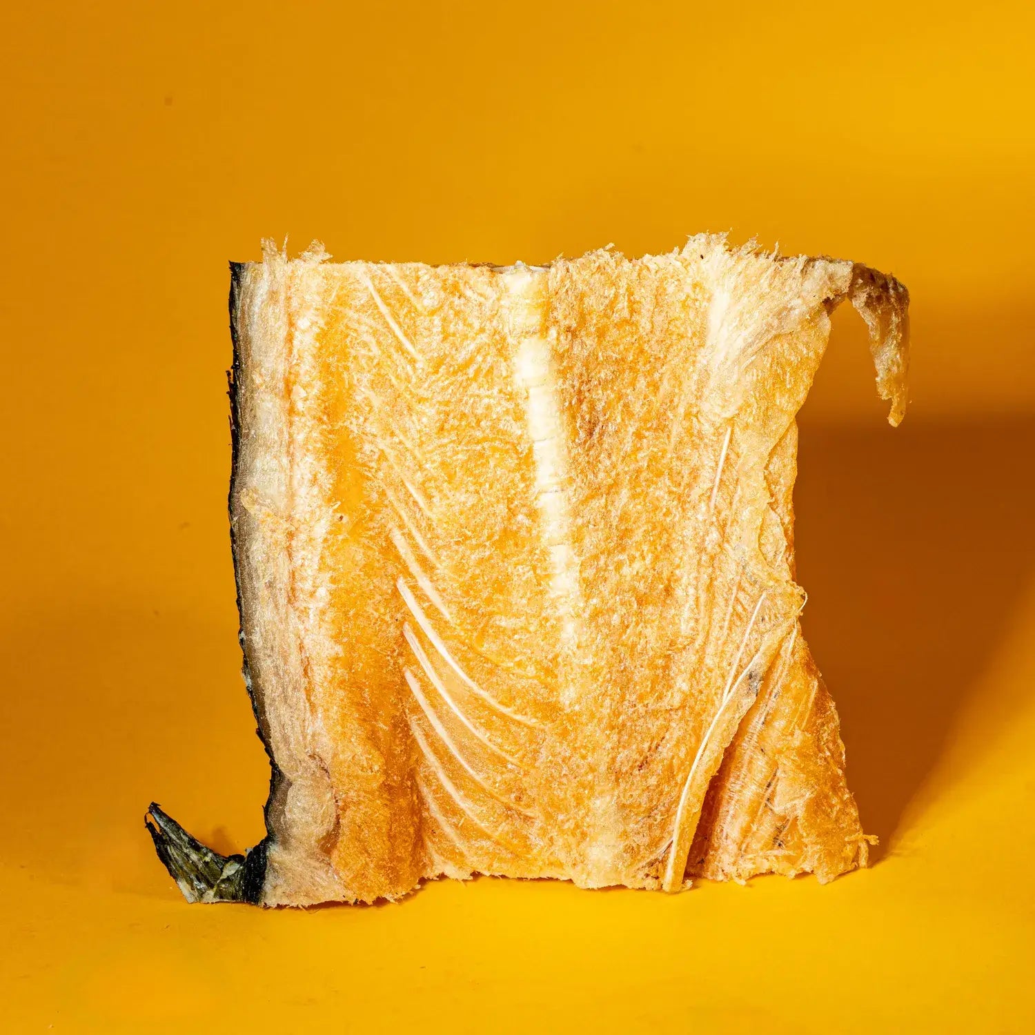 Salmon Backs - Freeze Dried Treat