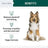Vegan Omega-3 Skin and Coat Supplement for Dogs with Pump