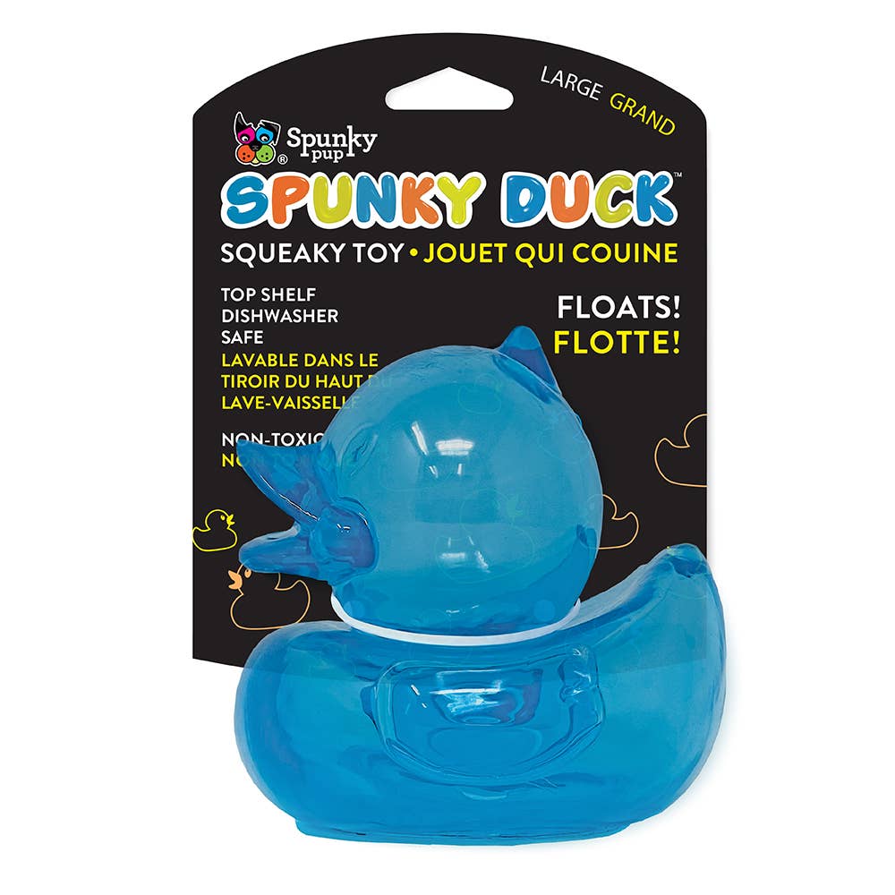 Spunky Squeaky Ducks