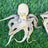 Baby Octopus - Freeze Dried Treats for Dogs & Cat