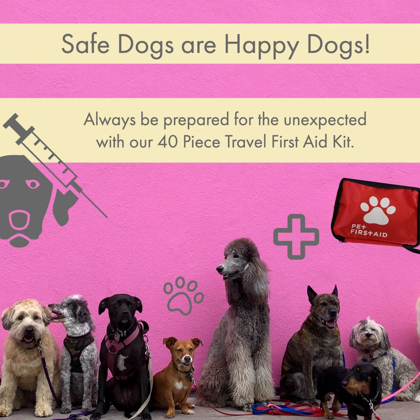 First Aid Kit For Travel & Safety