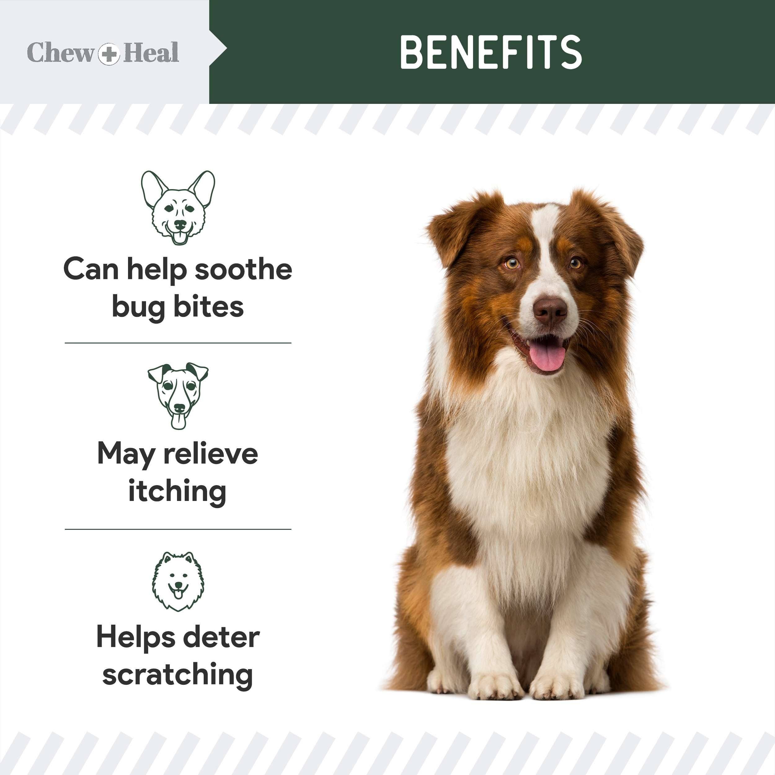Hydrocortisone Lotion for Dogs