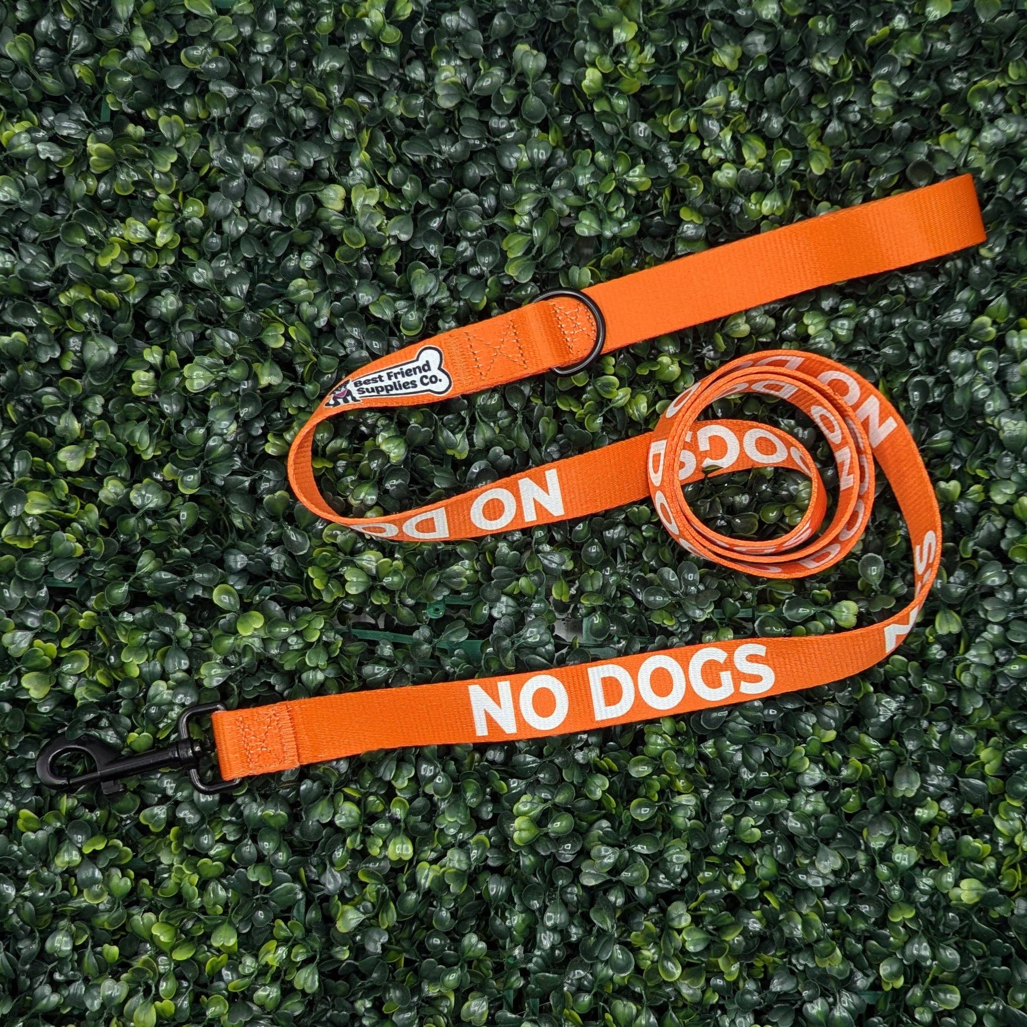No Dogs Leash