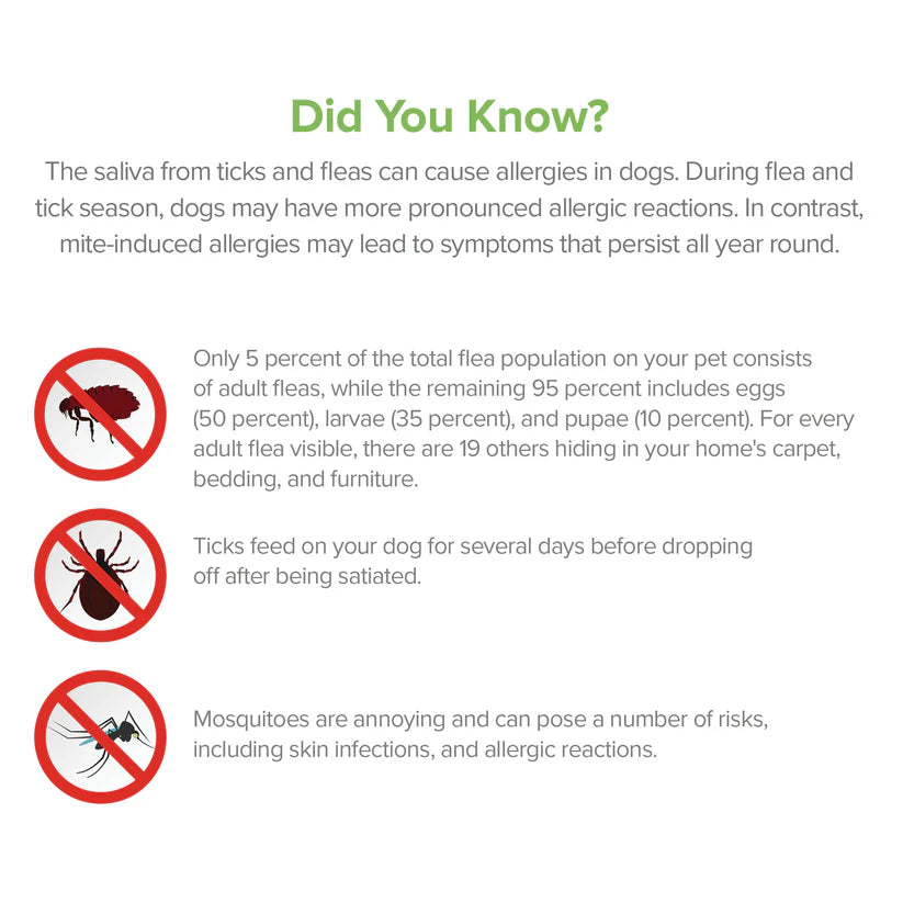 Pure and Natural Pet Flea and Tick Spray for Dogs