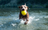 Ruff Dawg BALL XXL Lifetime Guaranteed