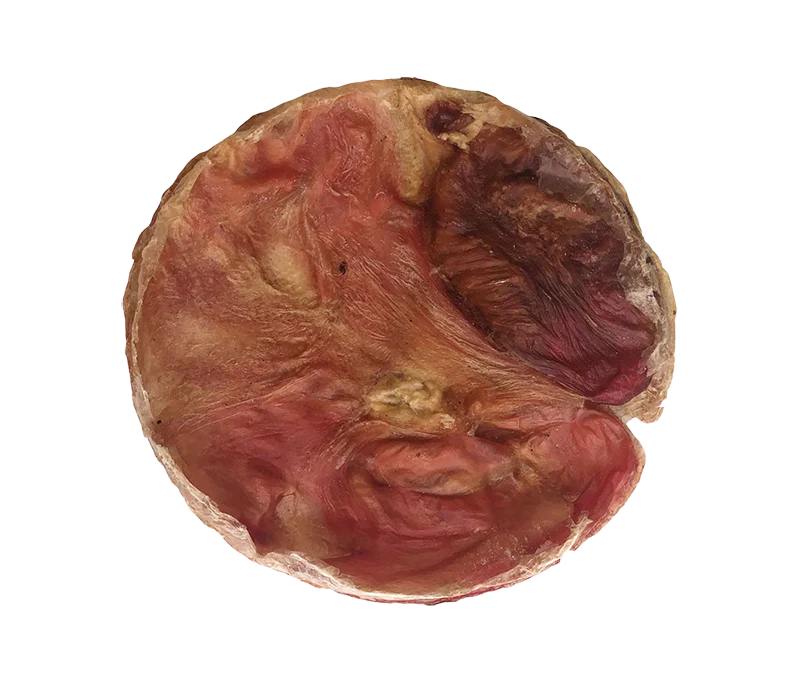 Furs-Bee Beef Bladder Dog Treat Disc from Home Range