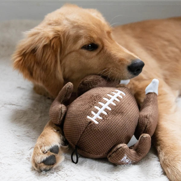 Turkey Bowl Plush Dog Toy