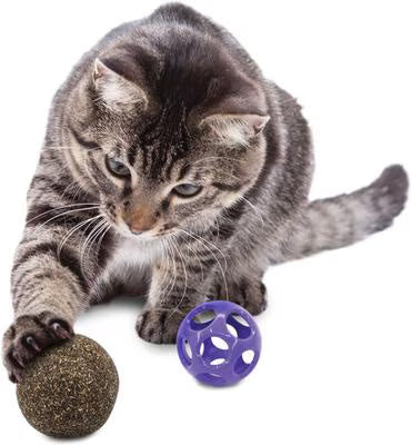 KONG Blissy Mesh Ball Cat Toy with Catnip, Purple