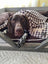 Tall Tails Houndstooth Throw Fleece Blanket 40x60 (Large)
