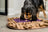 PB&J Mental Enrichment Snuffle Matt