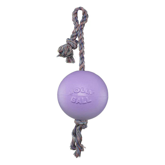 Jolly Pets Romp-n-Roll Dog Toy, Purple, 8-in