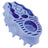 Kong Zoom Groom Natural Rubber Brushes - Small (blue)