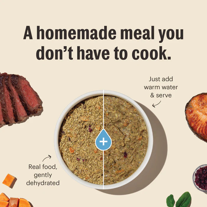 Honest Kitchen Wholemade Whole Grain Fish & Oat
