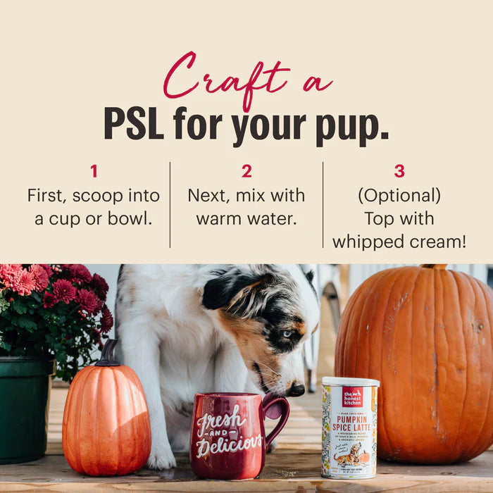 Pumpkin Spice Latte for dogs