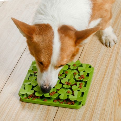 Tall Tails Foraging Mat - Spring Clover