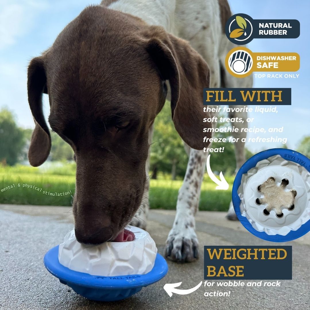 Natural Rubber Polar Freezable Reward Dog Toy