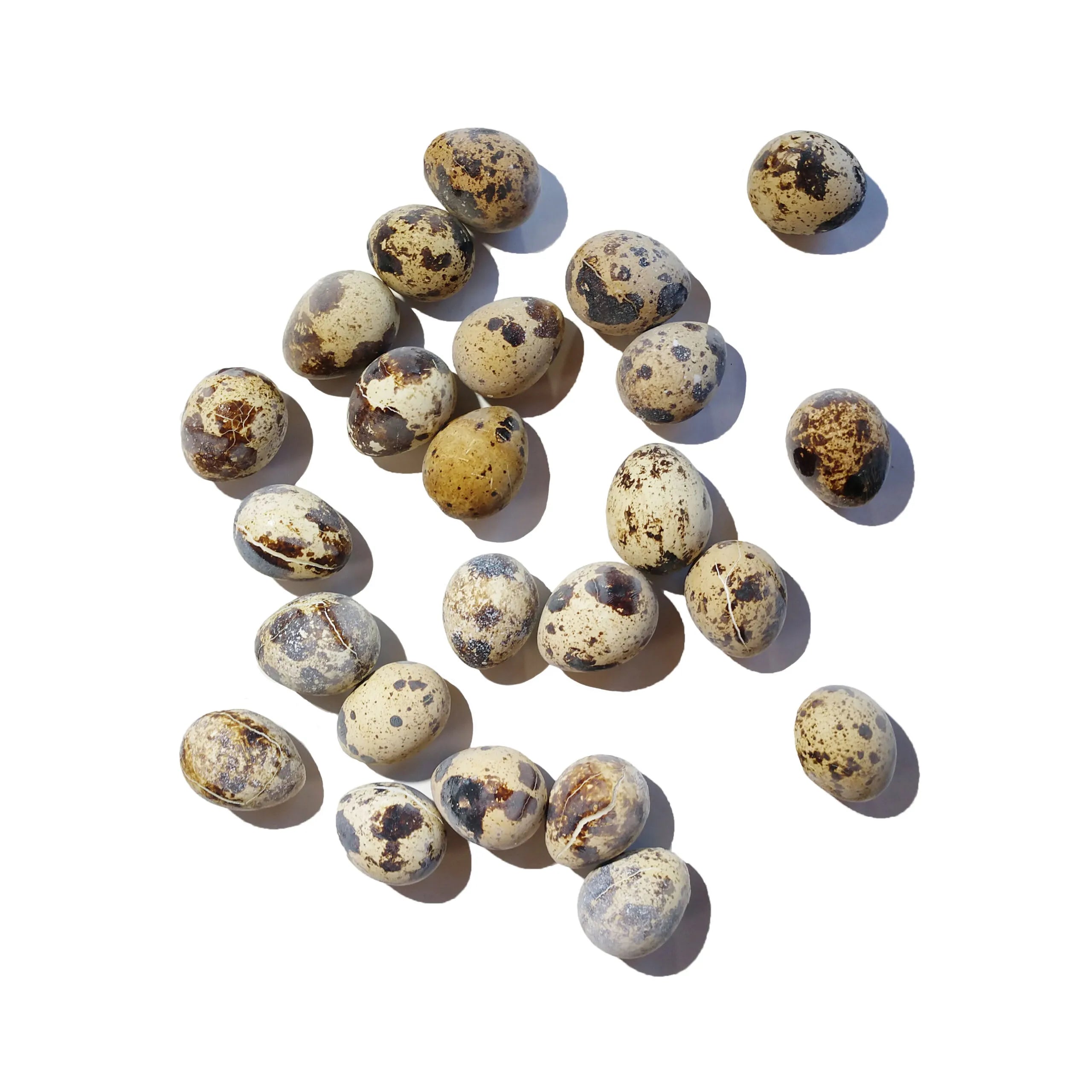 Savage Cat Raw Quail Eggs 24ct (Frozen)