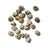 Savage Cat Raw Quail Eggs 24ct (Frozen)