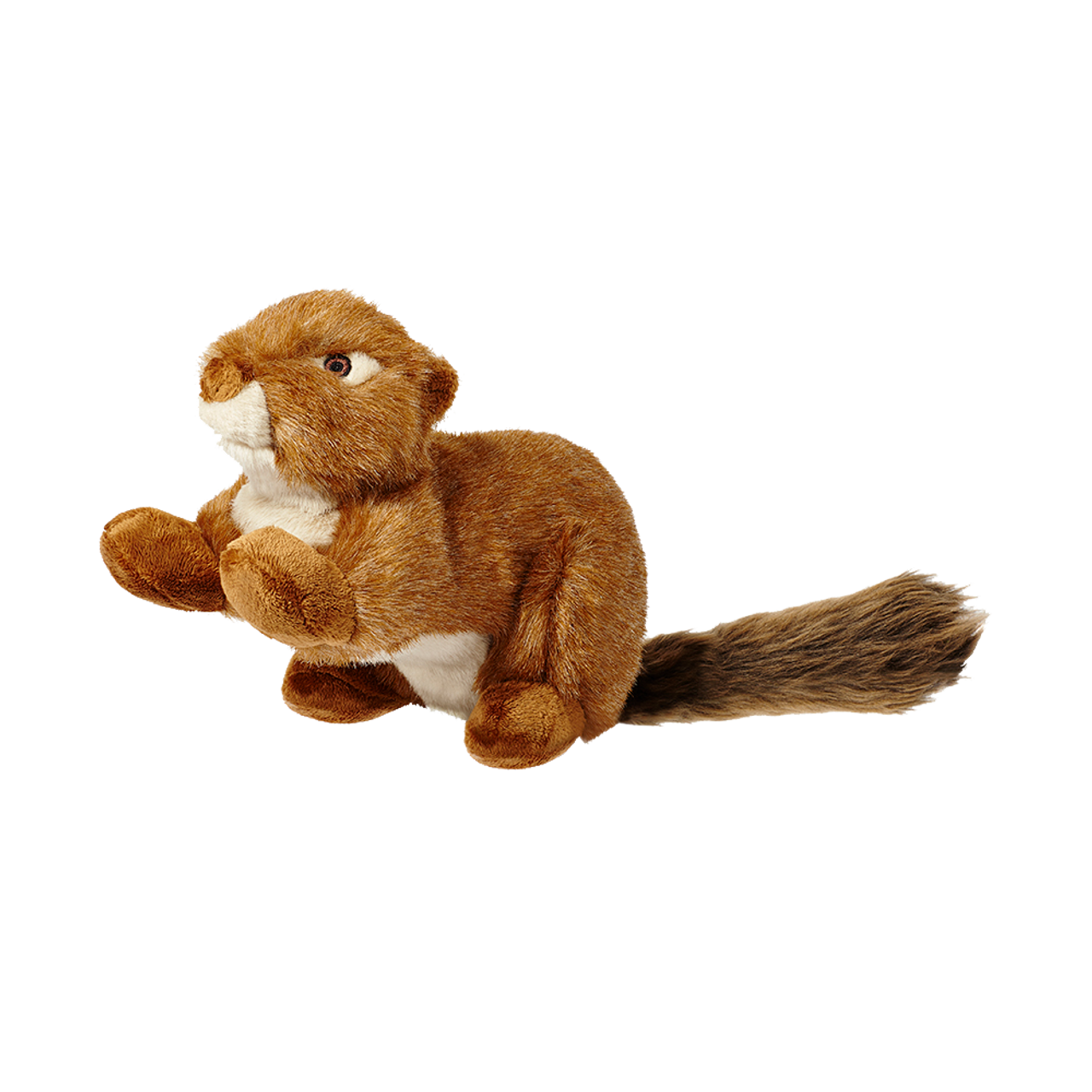 Squeakerless Red Squirrel