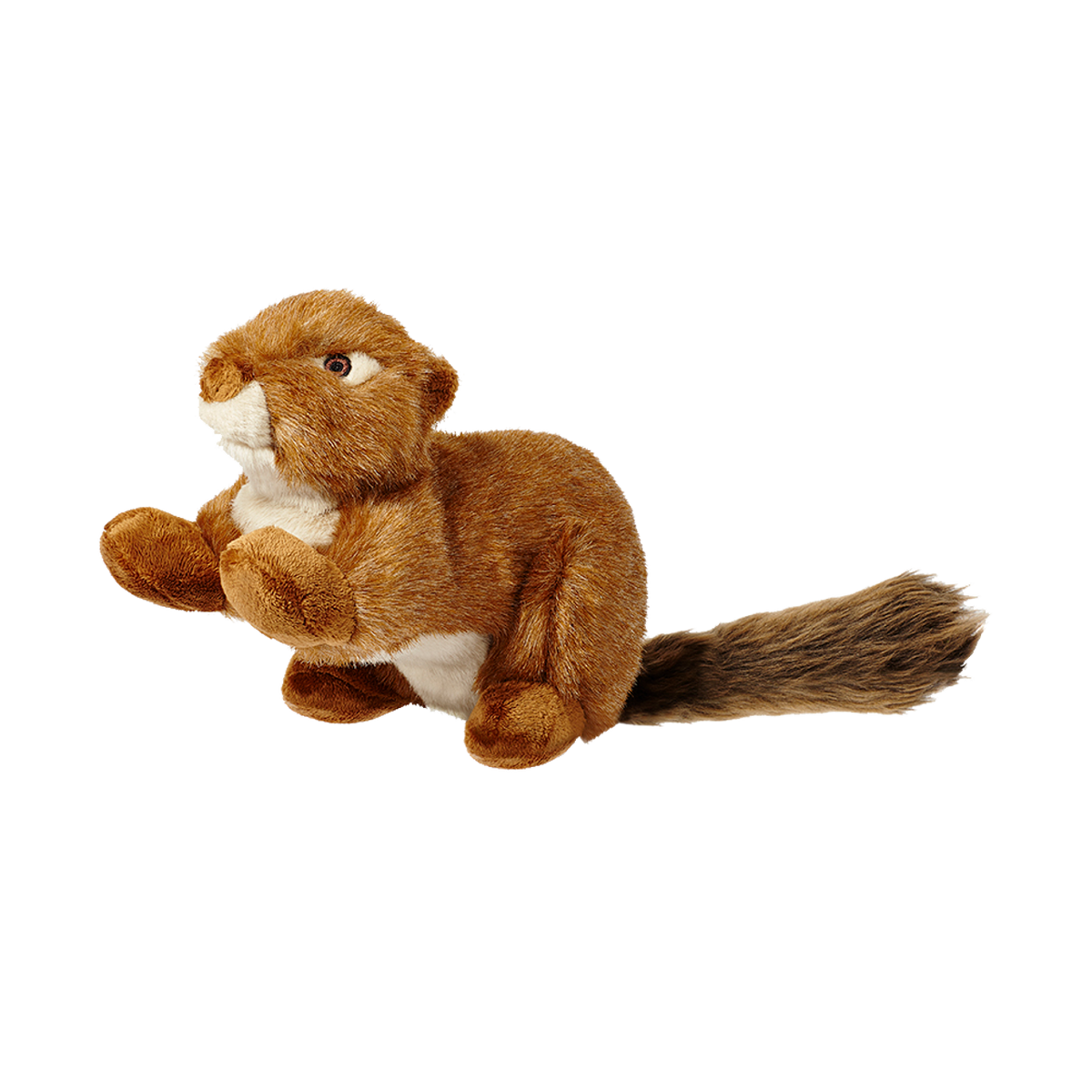 Squeakerless Red Squirrel