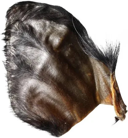 Water Buffalo Ears with Hair
