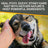 Silver Honey Rapid Ear Care Vet Strength Ear Treatment Rinse + Concentrated Doses