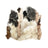 Savage Cat Rabbit Skins